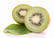 isolated kiwi