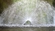 Villa d’Este - Fontana delle Grotte delle Sibille Villa d’Este - Fontana delle Grotte delle Sibille