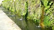 Villa d'Este - Le Cento Fontane Villa d'Este - Le Cento Fontane