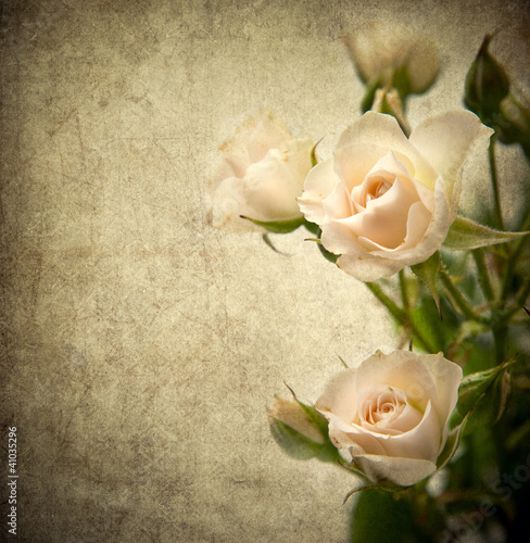 Photo: Rose texture Rose texture