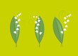 muguet 1er mai muguet 1er mai
