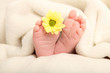 Babyfüsse Hoch