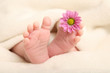Babyfüsse