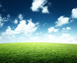 field of grass and perfect sky field of grass and perfect sky