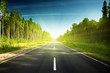 road in Russian forest
