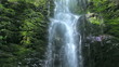 Beautiful Waterfall