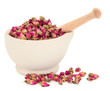 Rose Flower Buds