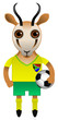 South Africa Football Soccer Mascot Character