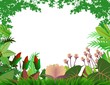 beautiful forest background beautiful forest background
