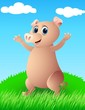 pig in the wild