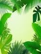 nature forest background