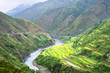 Rice terrace