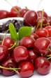 cherry jam