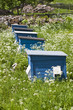 Beehives
