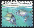 Terakihi