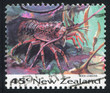 Rock lobster