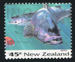 Grouper