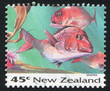 Snapper