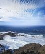 wild blue ocean wild blue ocean