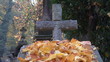 Rakowicki Christian Cemetery, Krakow, Poland