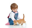 funny child playing with Scottish kitten