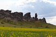 Teufelsmauer bei Thale im Harz