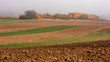 Landscape at autumn