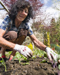 Seniorin arbeitet im Gemüsebeet Seniorin arbeitet im Gemüsebeet