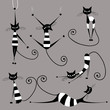 Funny striped cats, collection for your design