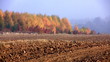 Landscape at autumn