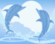 dolphin jump