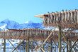 Foto: stockfish and lofoten's mounts stockfish and lofoten's mounts