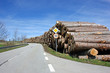 Holzwirtschaft