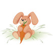 Rabbit with carrot Rabbit with carrot