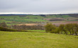 Yorkshire Dales Landscape