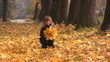 5 years girl corrects autumn leafs