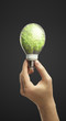 Male hands holding tree growing out of electric light bulb Male hands holding tree growing out of electric light bulb