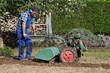 Rotary hoe,  Bodenbearbeitung mit Fräse