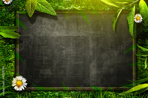 Photo: Nature Blackboard Nature Blackboard
