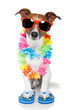 dog as tourist with hawaiian lei