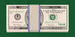 Twenty dollar bills