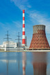 Thermal power station and power line