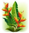 Vector: Heliconia-Fiore Rosso Tropicale-Tropical Red Flower-Vector Heliconia-Fiore Rosso Tropicale-Tropical Red Flower-Vector