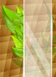 Bright background with leaves Bright background with leaves