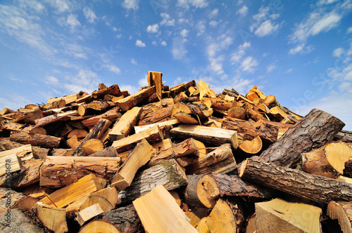 Photo: Firewood pile Firewood pile