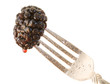 Impaled blackberry