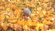 6 months boy sits at leaves and one leaf falls on him