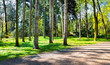 Spring time in park
