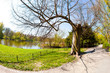 Spring time in park
