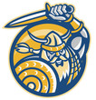 Viking Norse Warrior With Sword And Shield